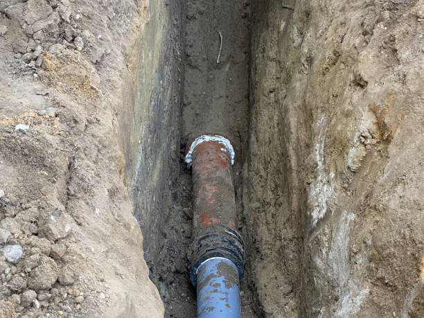 Best Sewage cleanup and water damage restoration  in Oak Grove, KY
