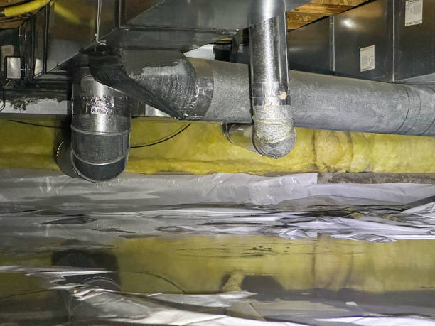 Best Basement water damage restoration  in Oak Grove, KY