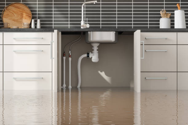 Best Flooded house restoration  in Oak Grove, KY